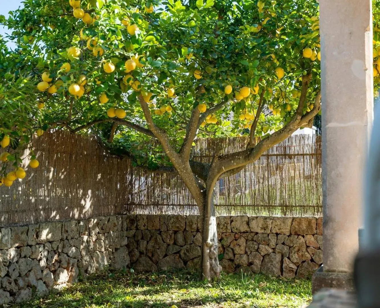 Villa In Costitx I Pool I Klima I Jacuzzi I Bbq Spanyolország